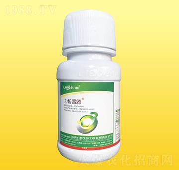 �������v���x��-��������