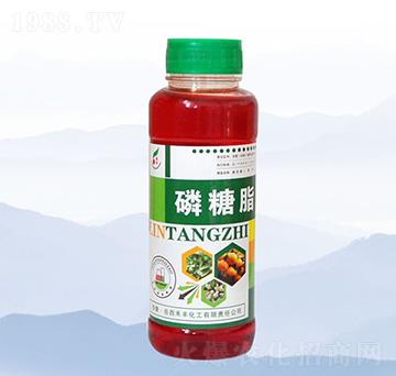 ����֬-���S