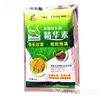 �������L(zh��ng)�����A��-���S