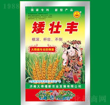 �����S-�����