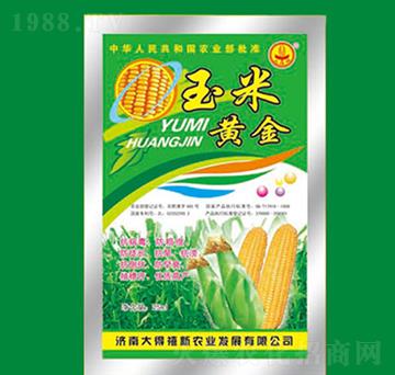 �����S�𣨴��b��-�����