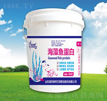 �����~����-�������