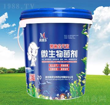 ΢�������-�������