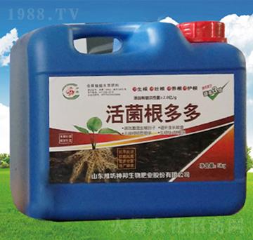 ��������Ͱ��-�������