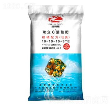 �����䷽��16-16-16-������