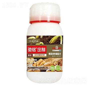 ���o���÷�-�Y�����