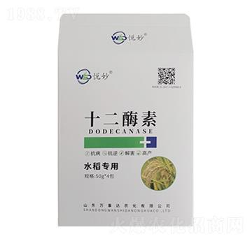 ʮ��ø�أ�ˮ����(zhu��n)�ã�-����-�f(w��n)���_(d��)