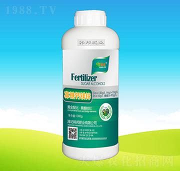 �����}�V�\-�n��ʘI(y��)