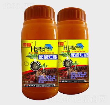 ���������~���-�ޏ�-��퍷ʘI(y��)