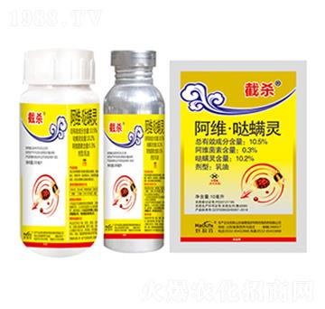 10.5%���S���}���`