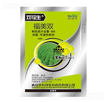 50%�����p-�p����-