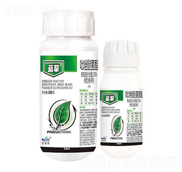 25%�����Ѿ���-�{(l��n)��