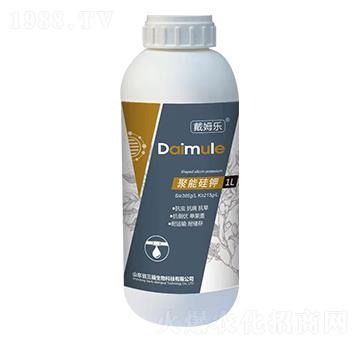 ���ܹ��-��ķ��(l��)-��������