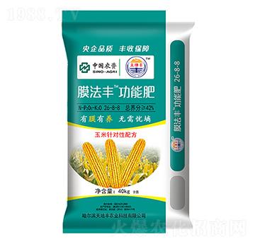 Ĥ���S���ܷ�26-8-8-����S