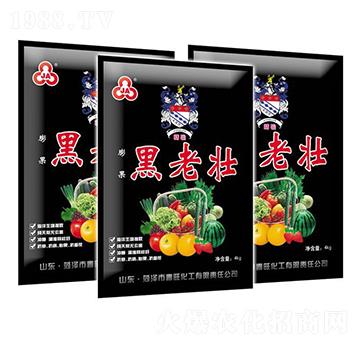 ���ω�-��������