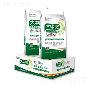 ����΢�S��ֲ�������-�(y��ng)��ʘI(y��)