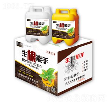 ��������-ꖹ�_��-ꖹ�ʘI(y��)