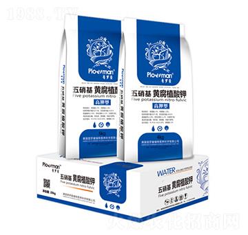 �������S��ֳ���-���_��-�(y��ng)��ʘI(y��)