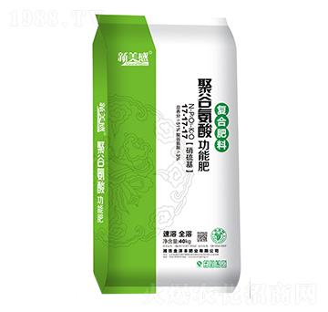 �۹Ȱ��Ṧ�ܷ�17-17-17-������-�����S