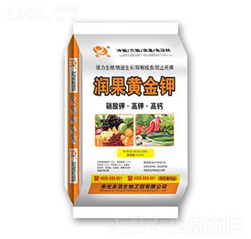 �����S���-��������