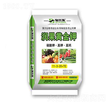 ����⛡���⛡����}11-3-20+TE-�����S���-��������