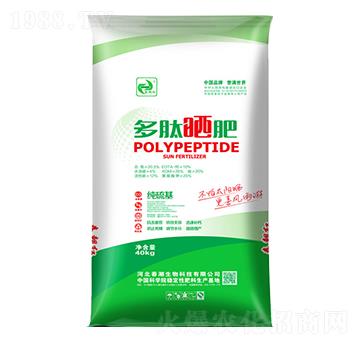 ���ĕ��-�����t