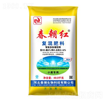 ��(f��)�����16-20-6-�����t