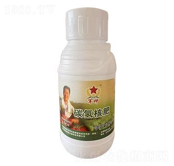 碳?xì)浜朔?綠藻門-碳?xì)鋰?guó)際