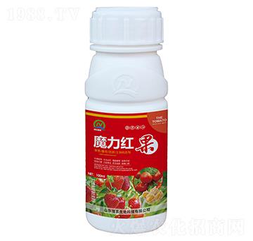 草莓番茄菇娘生物轉(zhuǎn)色劑-魔力紅果-強農(nóng)生物