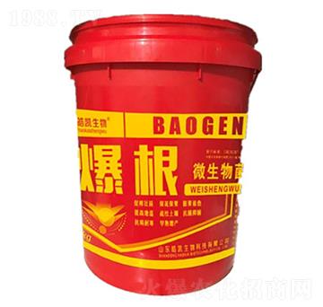 ΢�������-����-�P����