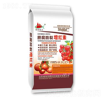 Ě���������t��-�h�|����