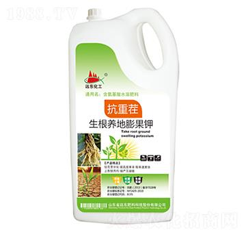 ���ز�-�����B(y��ng)������-�h�|����