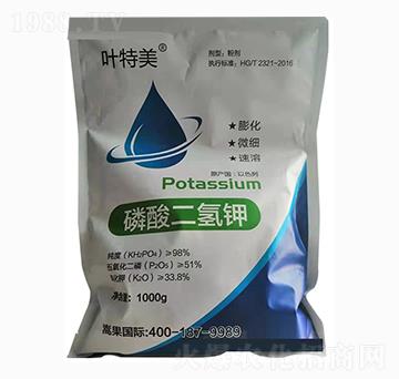 ��������-�~����-���ֿ�