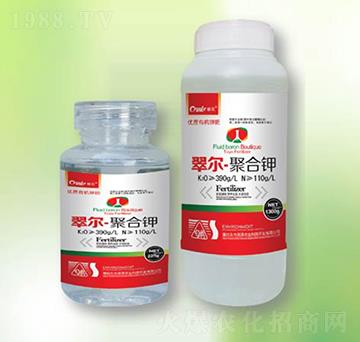 �ۺ��-�|������