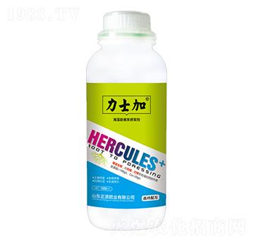 �����ĸ��ޏ̈́�-��ʿ��