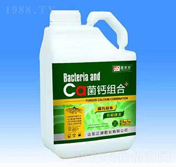 ���}�M��-ϲ�r��-��Դ