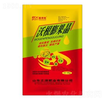 �ָ������-ϲ�r��-��