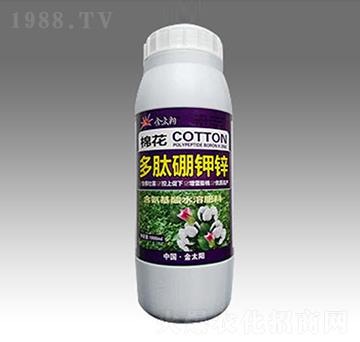 �޻���������\-��̫ꖷʘI(y��)