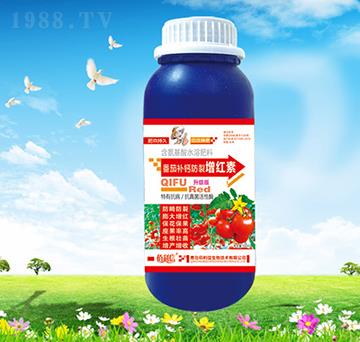 �����a�}�������t��-��