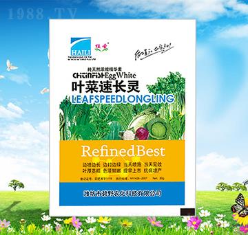 �~�����L�`-ֲʥ-��Ұ