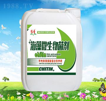 ����΢�������-ֲʥ-