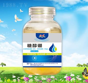 200gֲʥ�Ǵ���-��