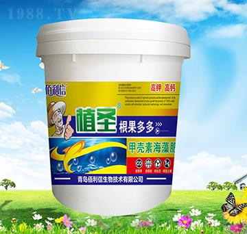 �������-�ך��غ����