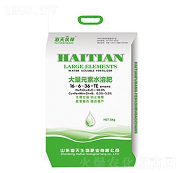 ����Ԫ��16-6-36+TE-��������