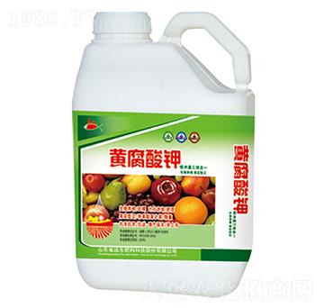 �S�����-�h(yu��n)�|����