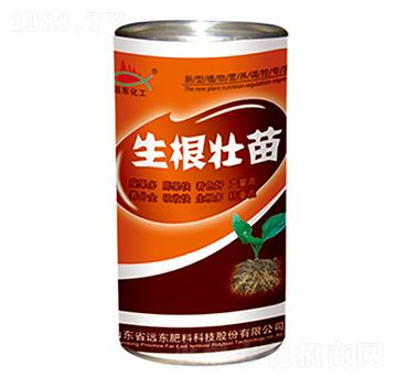 ��������-�h�|����