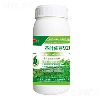 ���~��ѿ920-�h(yu��n)�|����