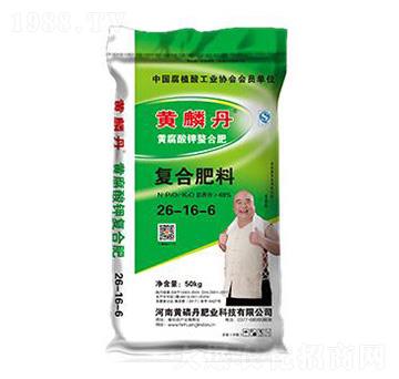 �S����⛏ͺϷ���26-16-6-�S�׵�