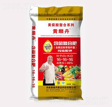 �����ͺϷ���16-16-16-�S�׵�