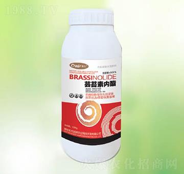 �|̦�؃�(n��i)��-�|����(r��n)��